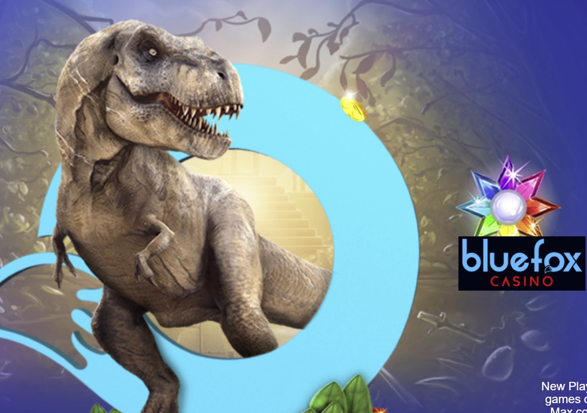 BlueFox Casino Promo Code Review