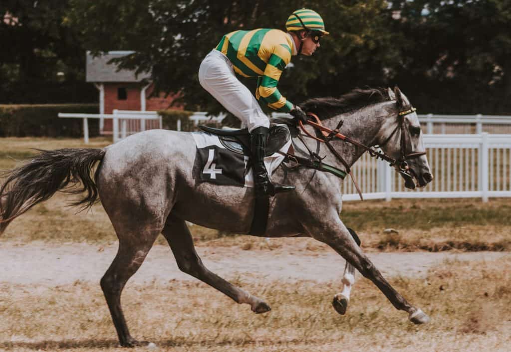 UK horse racing