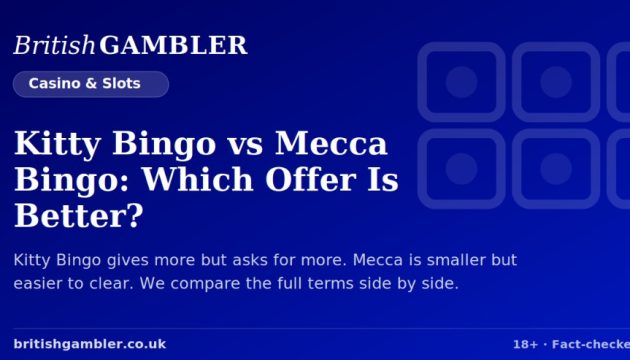 bingo offers compared